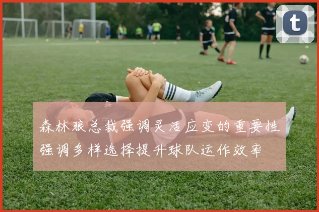 森林狼总裁强调灵活应变的重要性强调多样选择提升球队运作效率